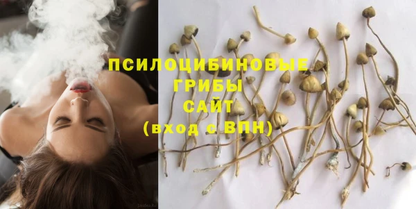 экстази Пересвет