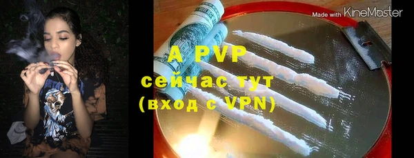 apvp Беслан