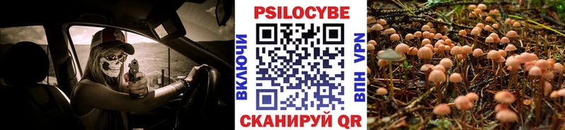 Псилоцибиновые грибы ЛСД  гидра онион  Красный Сулин 