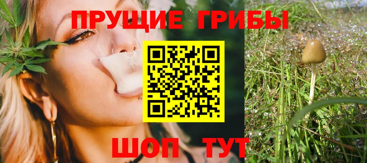 Красный Сулин  Галлюциногенные грибы мицелий  Вход с VPN 