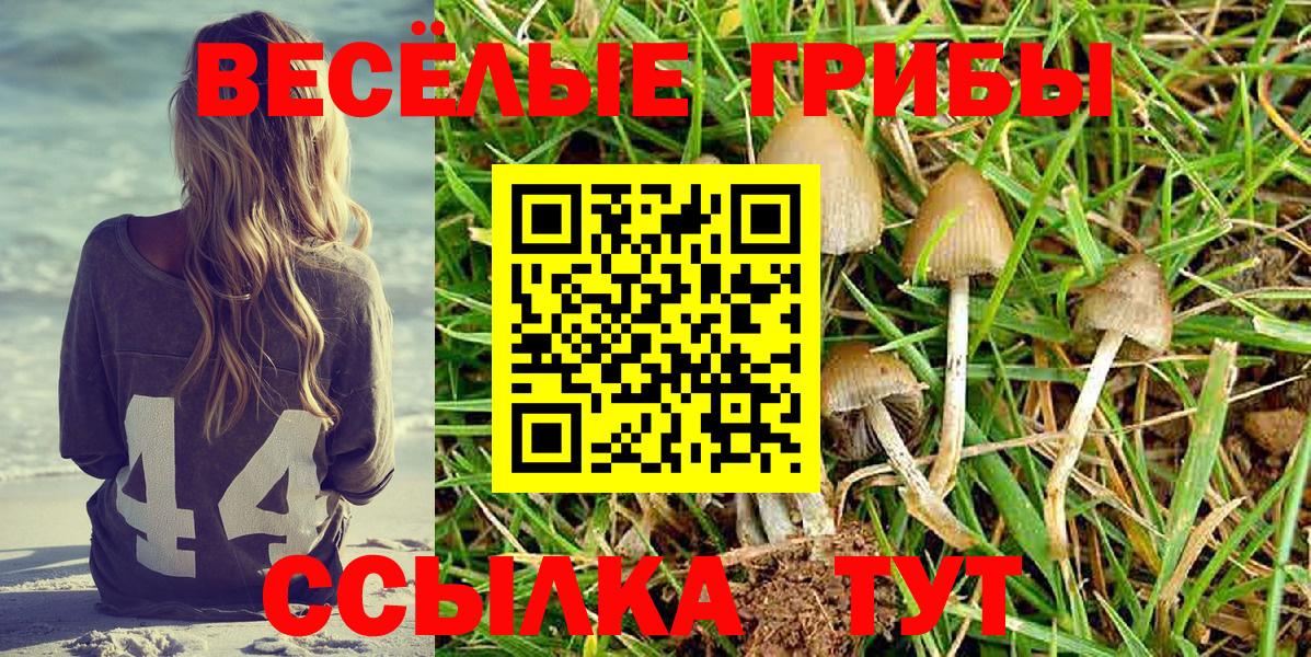 Псилоцибиновые грибы прущие грибы Красный Сулин