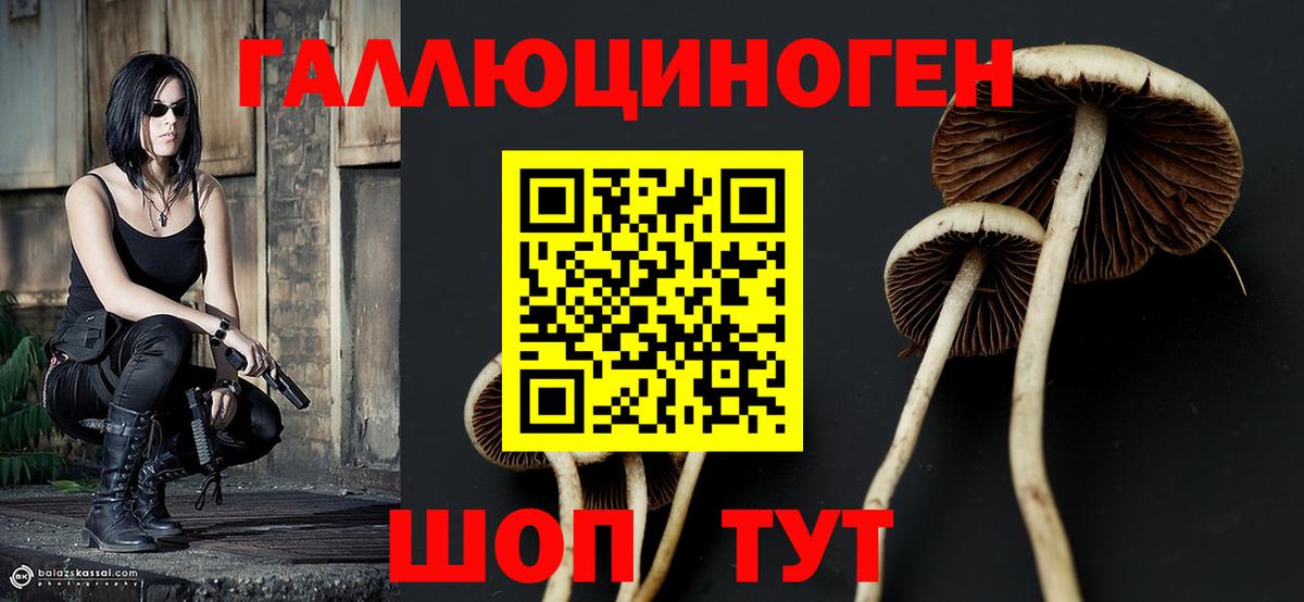 Конопля  Вход с VPN  Alpha PVP СК кристаллы  МЕФ   Гашиш  Красный Сулин  Cocaine  Магазин наркотиков 